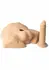 Silex-D Silicone Demi Torso Small Model 7