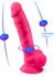Silex-D Model 1 9