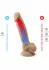 Silex-D Model 8 inch - Thermo-Reactive Silicone Intimate Device