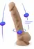 Silex-D Model 8 inch - Thermo-Reactive Silicone Intimate Device