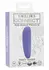 CalExotics Connect Panty Teaser App-Controlled Intimate Device Black