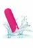 CalExotics Rechargeable Hideaway Bullet Compact Intimate Massager