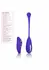 CalExotics eStim Remote Kegel Exerciser - Wireless Pelvic Trainer, 7 Modes