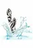 Hype Dual Wand by CalExotics - Dual Motor Silicone Intimate Massager