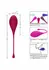 CalExotics Kegel Training 5-Piece Set - Progressive Pelvic Floor System