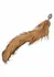 CalExotics Running Wild Tail Metallic Probe with Synthetic Fur Tail