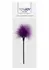 ToyJoy Sexy Feather Tickler Elegant Turkey Feather Sensual Accessory Black