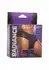 CalExotics Radiance Classic Briefs Black Mesh Rhinestone Accents