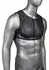 CalExotics Radiance Crop Top by Radiance - Mesh Design & Rhinestone Accents