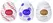 Tenga Egg Standard Set x3 - Compact Disposable Intimate Sleeves Variety