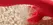 HoneyPlayBox Fortexa Red - Precision A-Spot Tapping Device, App Control