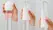 Tenga Egg Variety Pack Standard - 6 Textured Intimate Sleeves