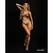 Obsessive Soranna Brown Corset Set with Sheer Mesh & Adjustable Straps L/XL