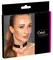 Cottelli ACCESSOIRES Black Heart Adjustable Choker 31-42 cm