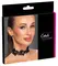Cottelli ACCESSOIRES Black Lace Choker with Pearls Adjustable S-L
