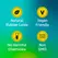 ONE Pleasure Plus 12-Pack Advanced Contoured Latex Condoms