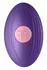 FemmeFunn Versa Bullet Dark Purple Wireless Remote, 7 Modes, Waterproof