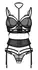 Obsessive Premisis Bra Set S/M - Black Lace, Adjustable Straps
