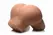 Mistress Jennifer Bubble Butt Dual Tunnel Anatomical Model, Medium, 23kg