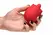 BLOOMGASM French Rose Red Intimate Stimulation Device 10 Modes Silicone