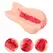 Kokos Emily Onahole Double Layer L Intimate Machine, Large Size
