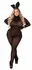 Playboy Lingerie Bunny 2-Piece Set Black - Iconic Logo & Ears