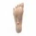 Zero Tolerance Foot Model Intimate Machine Skin-Tone 18 cm