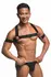 XR Brands Chest Harness & Armbands Black Stretch Adjustable Set