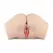 Friend with Benefits Evelyn Harris Vibrating Silicone Intimate Device