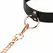 Rosy Gold Adjustable Faux Leather Collar with Detachable Leash Black