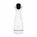 Teazers Automatic Intimate Machine 4-in-1 Multi-Function Black