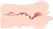 Evolved Real Mouth Intimate Simulator with Anatomical Texture 15 cm