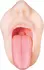 Evolved Real Mouth Intimate Simulator with Anatomical Texture 15 cm