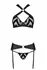 Passion Hima Exclusive Black Lingerie Set - Bra, Thong & Garter Belt