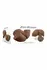 ZERO TOLERANCE Come Play With Me Dark Intimate Thrusting Device 30cm