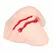 Kokos Adel Anatomical Hips Model - TPE, Skin-Like Texture, Life-Size