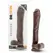 Dr. Skin Mr. Ed XL 33 cm Chocolate Anatomical Model With Suction Base
