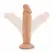 Blush Dr. Skin Dr. Small Vanilla Model with Suction Cup 16.5cm