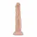 Blush Dr. Skin 7.5” Anatomical Model with Suction Base - Beige