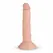 Real Fantasy Blane Anatomical Model with Suction Base, Flexible, Beige