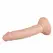Real Fantasy Blane Anatomical Model with Suction Base, Flexible, Beige