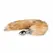 Rimba Aluminium Plug with Faux Fox Tail - Silver & Grey, Medium