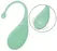 Adrien Lastic Palpitation Mint App-Controlled Intimate Bullet 18cm