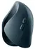 Hot Octopuss Pulse Duo 2025 Intimate Stimulation System, Compact, Black
