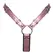 Bad Kitty Strap-On Thong 2XL Black Insert Metallic Rose Adjustable