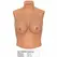 Hidden Desire Alter Ego Silicone Wearable Breast Shirt D-Cup Flesh S-L