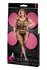 LAPDANCE Fishnet Bodystocking Black - Flexible Nylon-Spandex, QS