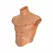 HIDDEN DESIRE ALTER EGO Silicone Male Torso Shirt with Abs, Flesh, S-L
