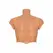 HIDDEN DESIRE ALTER EGO Silicone Male Torso Shirt with Abs, Flesh, S-L