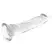 XRAY Transparent Intimate Model 21 cm x 4 cm Jelly Material, Suction Base